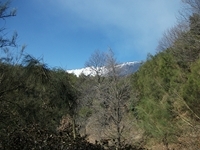 Monte Fontane